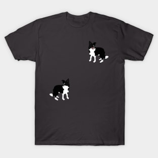 Border Collie T-Shirt